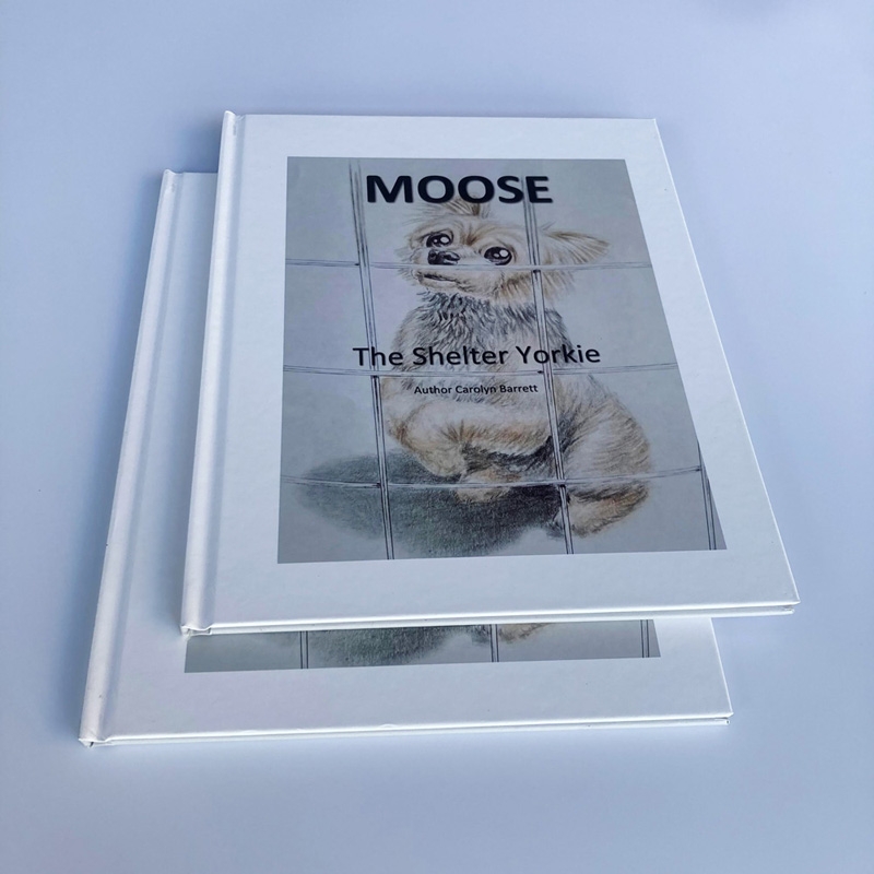 Professional Printer High Quality and Custom Color Children Book Printing