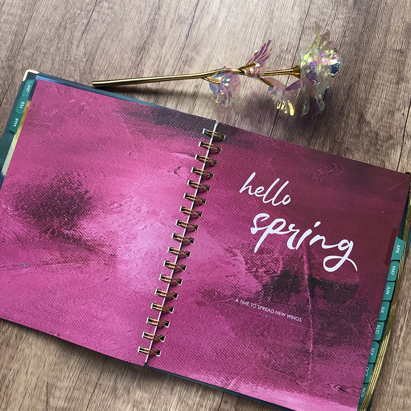 Wholesale Custom Printing Personalized A5 Hardcover Spiral 2025 Yearly Weekly Daily Planners Organizer and Journal Notebooks