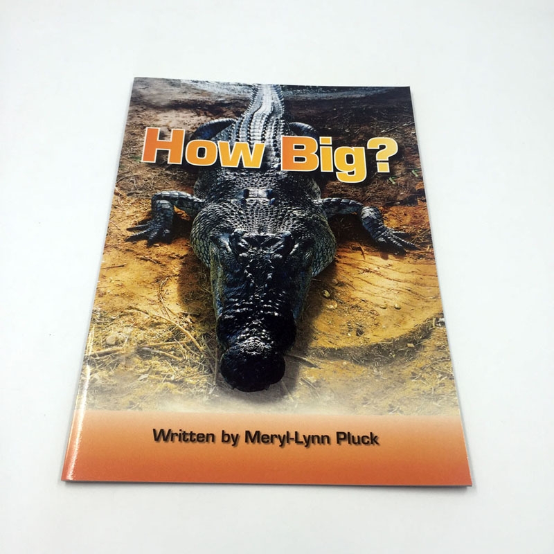 Custom cheap colorful libros infantiles children papercover book printing services