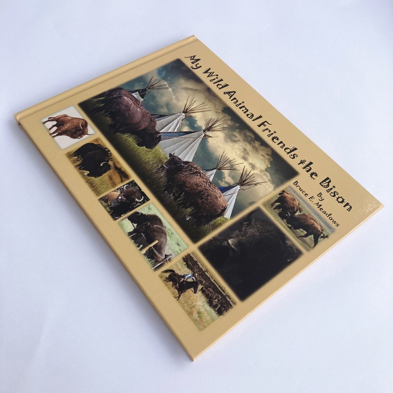 Customized hardcover photo book printing factory