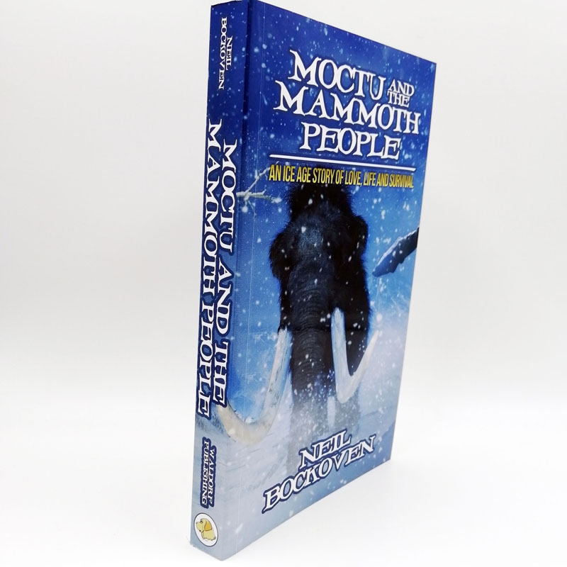 high quality cheap custom paperback book printing factory